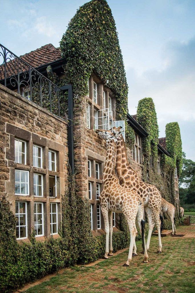 Giraffe Manor, unique hotels in Nairobi, Kenya